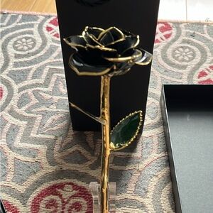 Elegant Black and Gold Dipped Rose